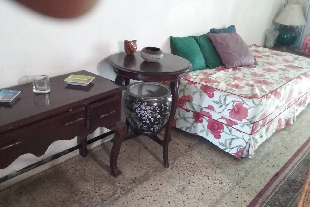 Daybed in living area