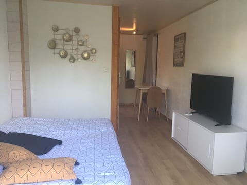 Independent studio 10 minutes from Annecy and 40 minutes from skiing