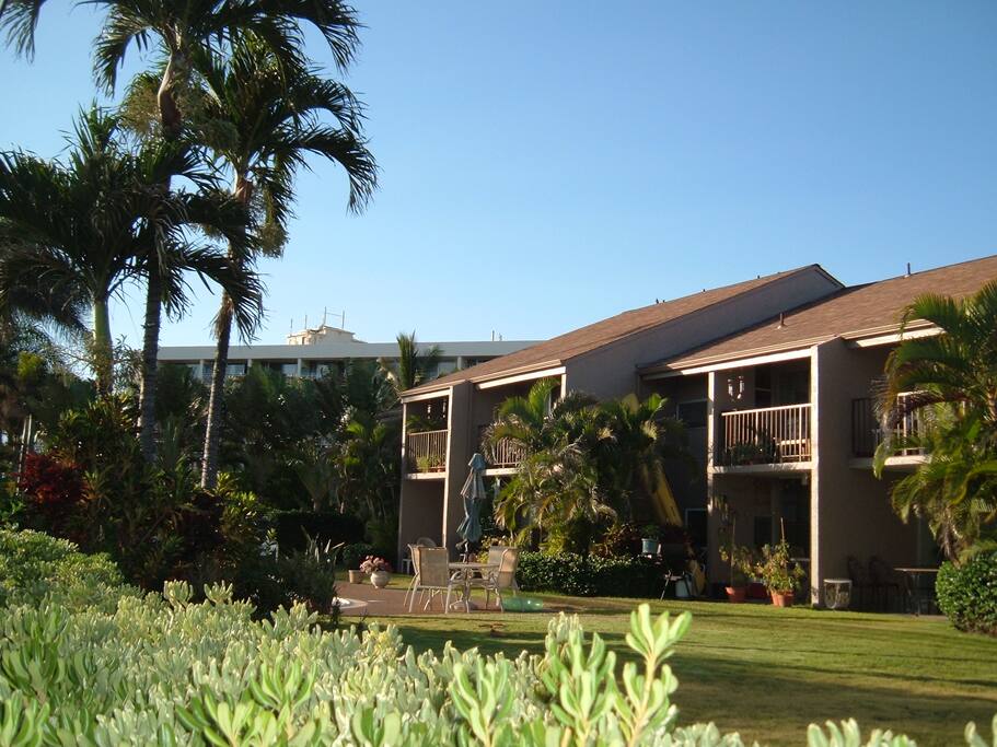 Front of Building from beach