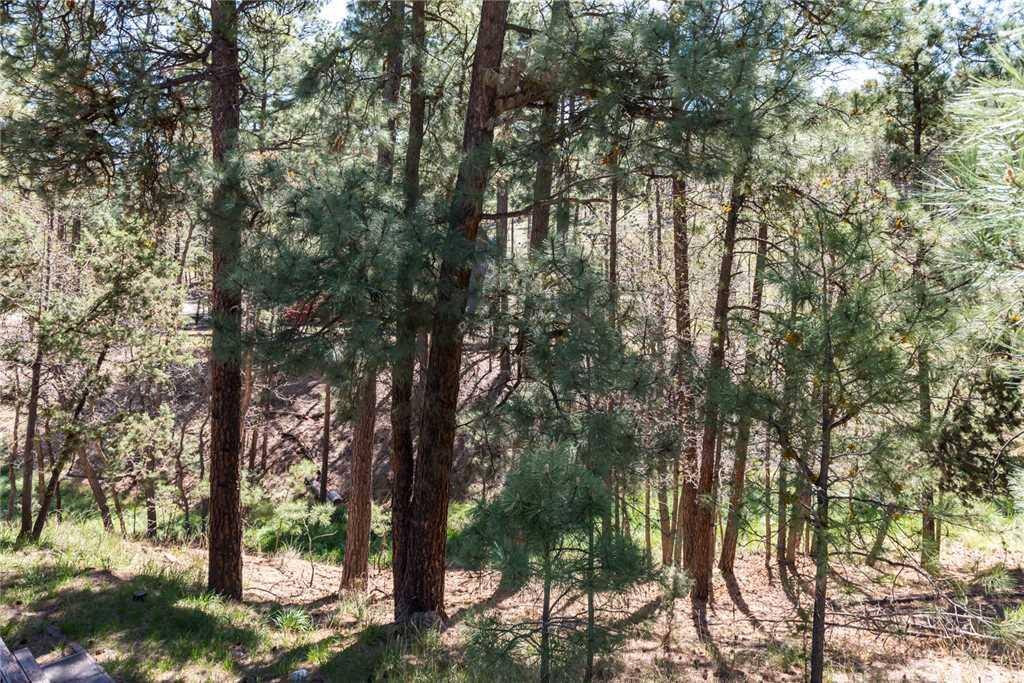 Ruidoso enjoys an entire range of seasons, ranging from snowy winters to bright, cool summers.