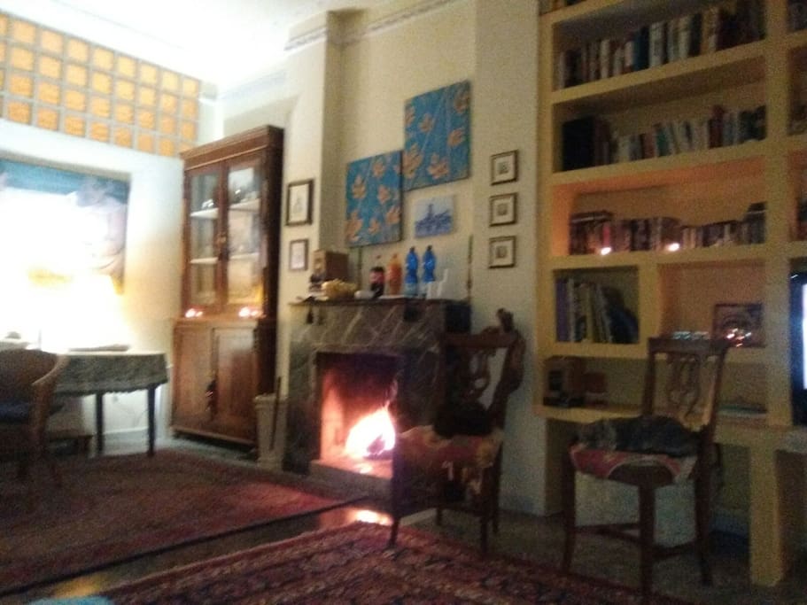 Questa è la sala da pranzo,grande,con camino,a cui gli ospiti possono comunque accedere per guardare un tg o riposarsi.