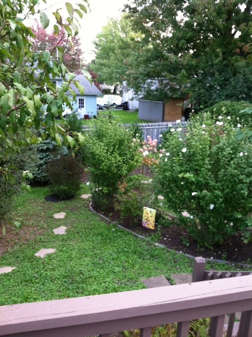 Back fenced in yard
