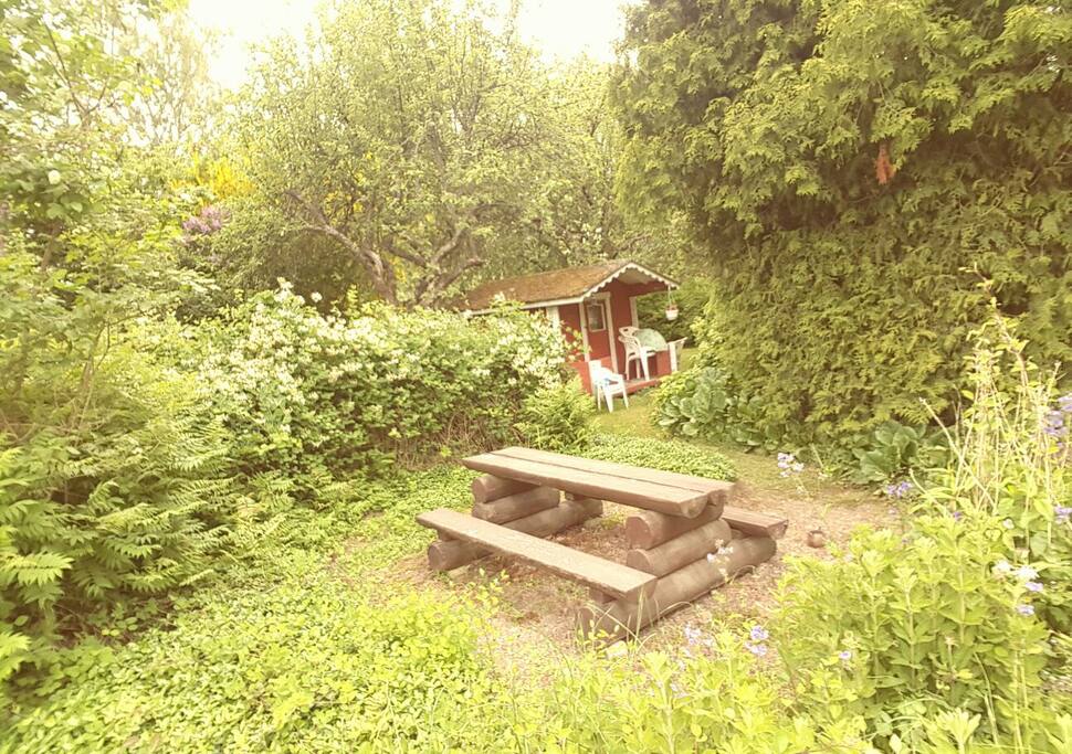 picnic / bbq bench & children's play house. trampoline behind play house