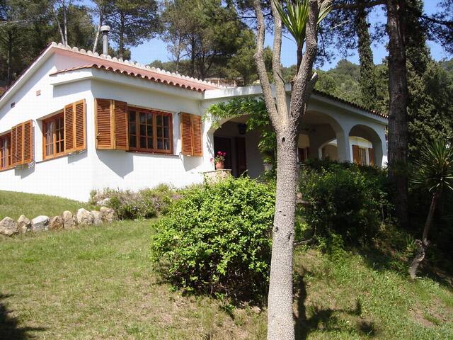 Villa 400 meters from beach 1500 m2 private garden gallery image 3