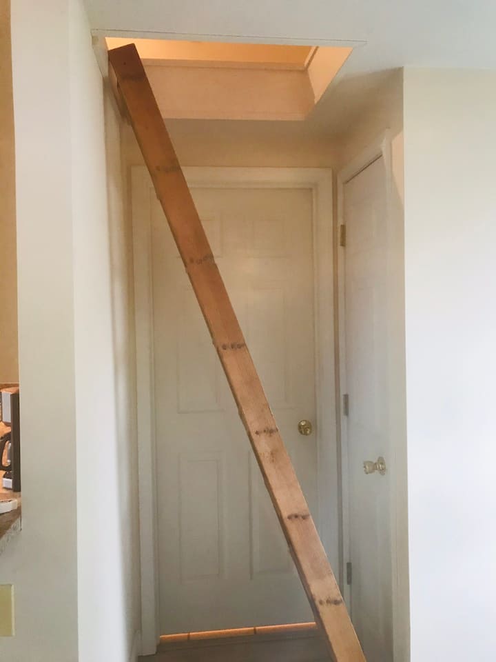 Ladder to loft bedroom