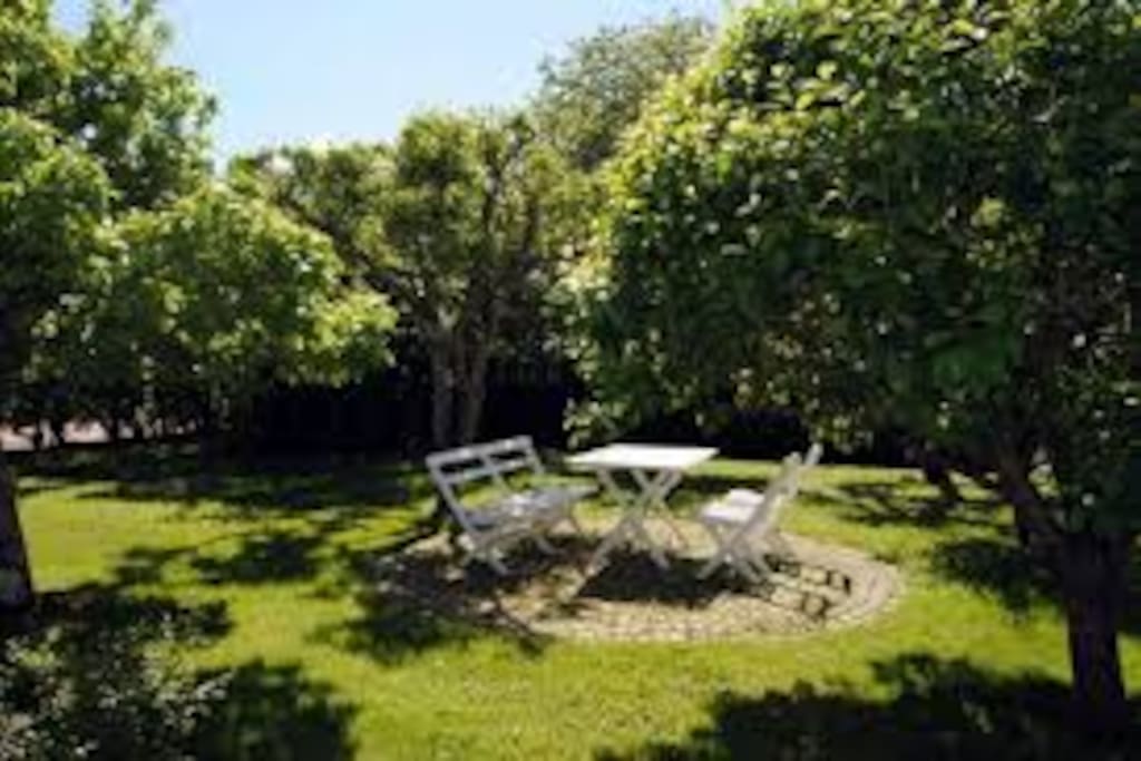 The apple garden!