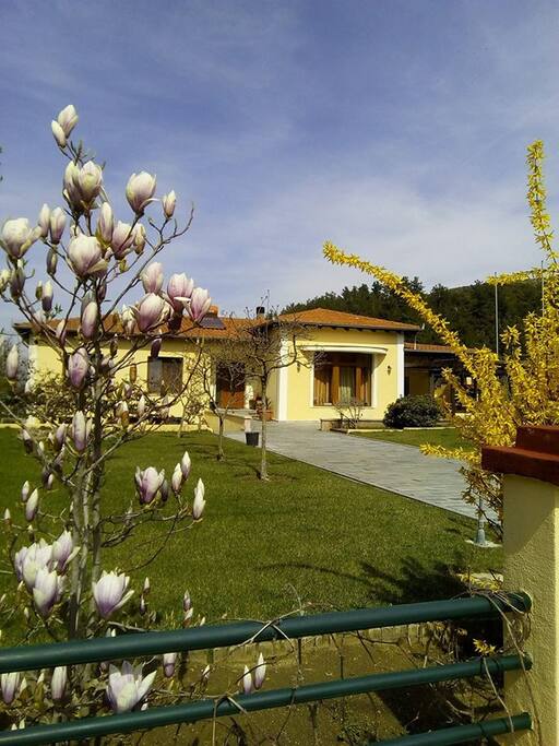 Our house in Spring