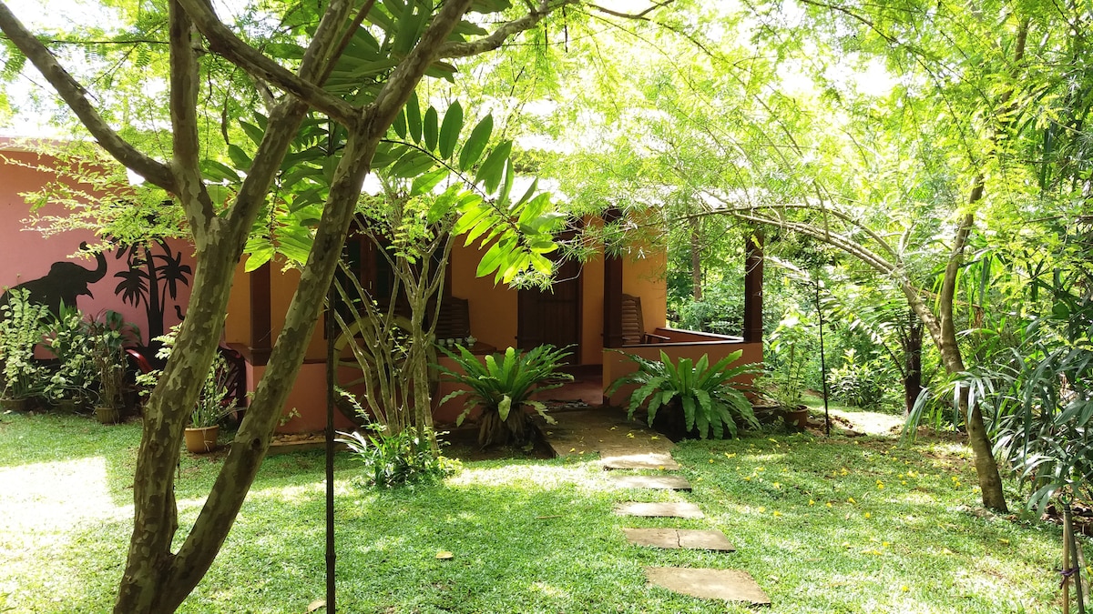 A well-maintained garden is framed by lush greenery and surrounded by diverse plant life. A stone pathway leads to a cozy, orange structure nestled among tall trees, providing a serene and inviting environment.