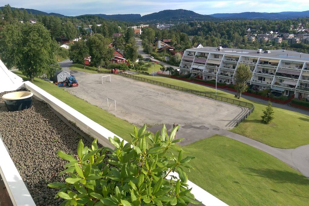 Soccer field. View from eastside balcony.