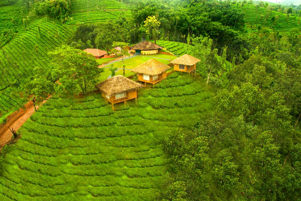 Aerial view of the property