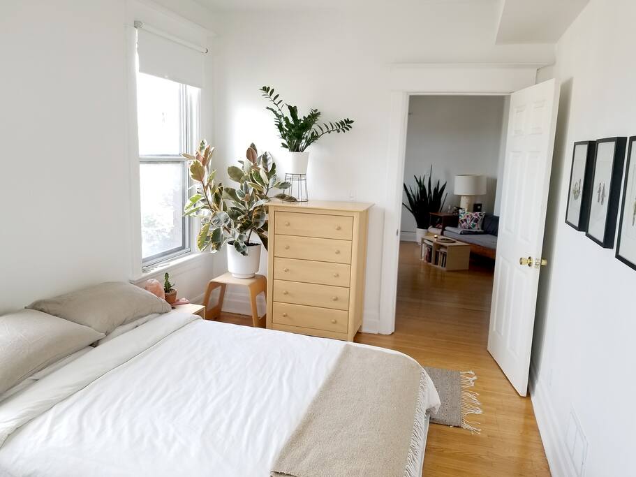 Sunny bedroom with lots of plants looking into the living room