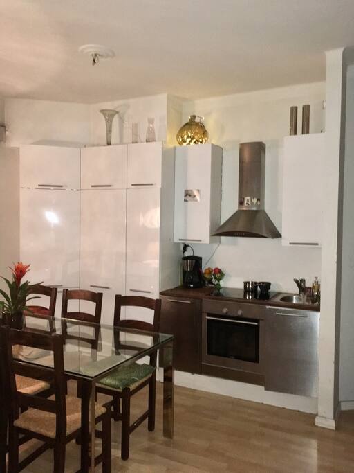 The kitchen corner with a dishwasher, fridge and cooking possibilities.