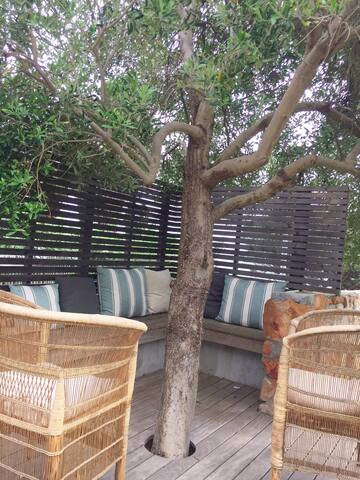 Olive House – family-friendly Camps Bay home gallery image 4