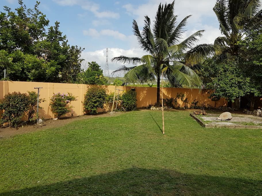 Backyard