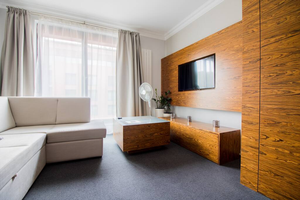 Living room convertible to bedroom
