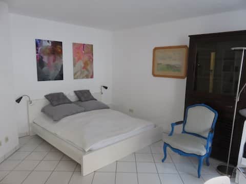 Top performing Airbnb: Cologne studio apartment in Köln