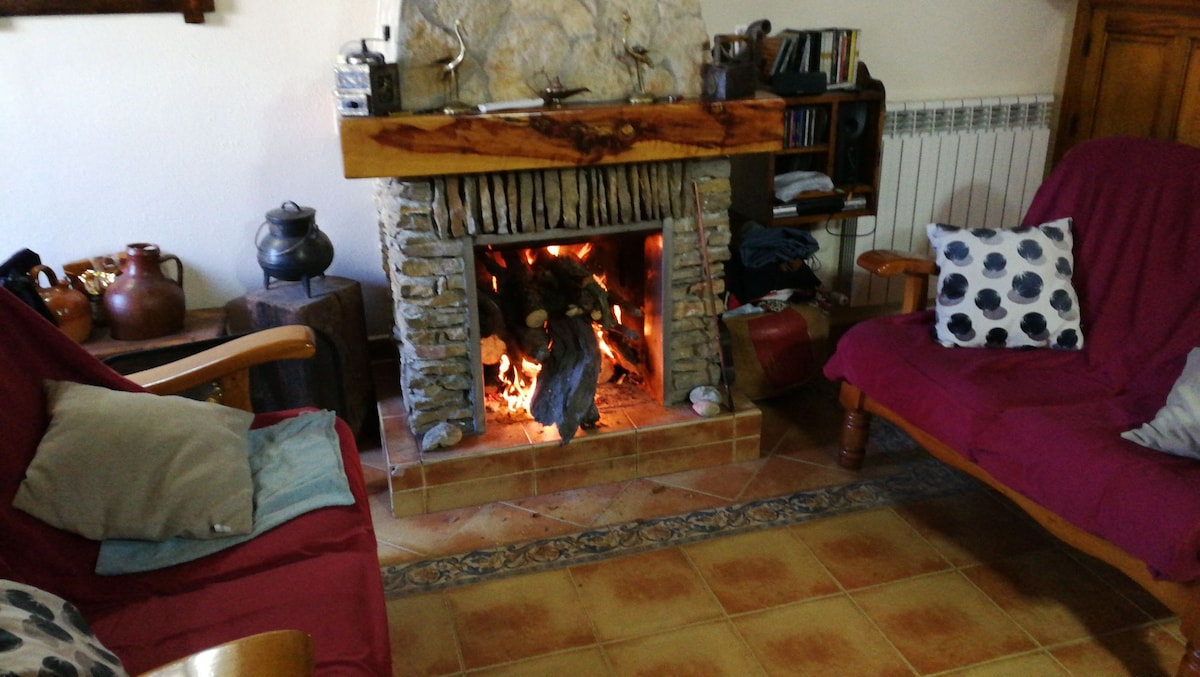 A rustic living area features a stone fireplace with a warm fire burning. Two wooden seats are positioned nearby, adorned with cushions in various colors. Shelves are lined with books, and traditional pottery adds character to the space.