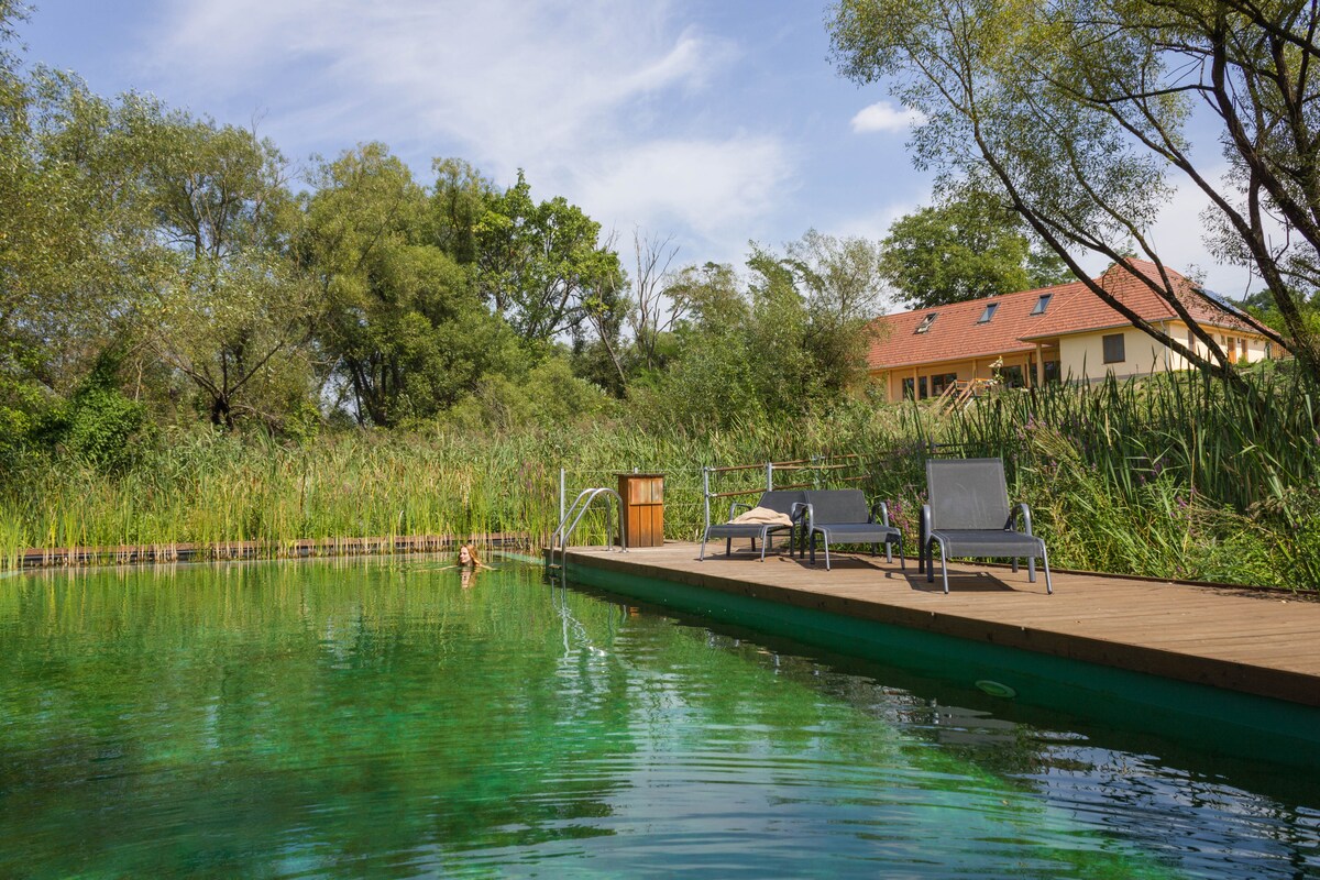 A natural swimming pool with clear green water is surrounded by lush vegetation, creating a tranquil outdoor space. Wooden decking with two lounge chairs provides a spot for relaxation. In the background, a villa can be seen among the trees, adding to the serene atmosphere.