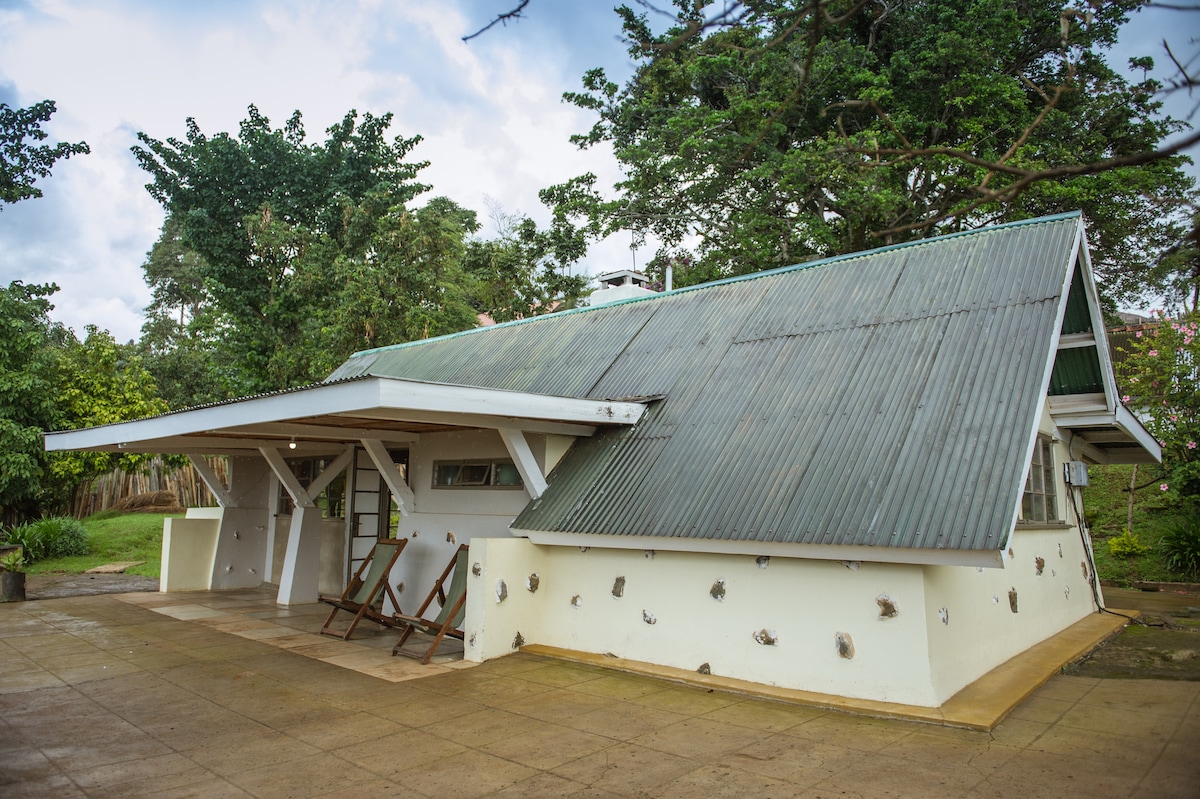 A charming building with a sloped metal roof and white exterior is surrounded by greenery. Wooden chairs are placed on a paved area, offering a relaxed outdoor space. The natural surroundings create a peaceful setting, enhancing the overall ambiance of the property.