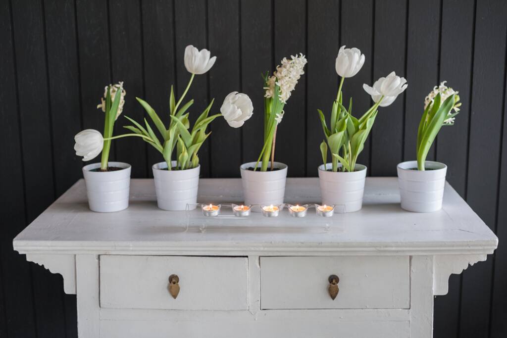 Spring