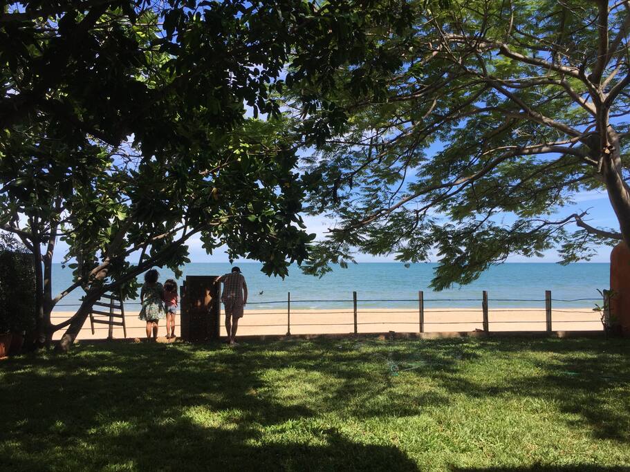 Garden with sea view