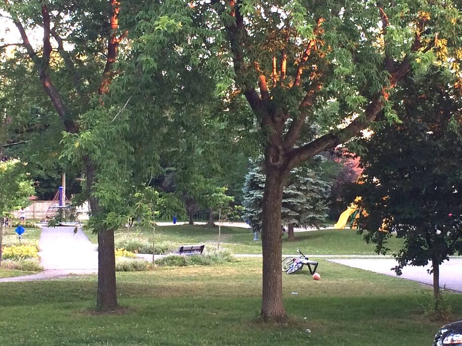 Big park right in front of the apartment