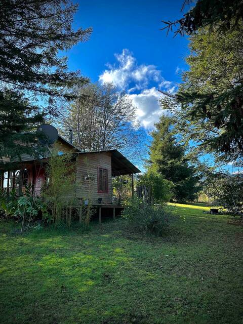 Lake Lanalhue Lake Cabin
