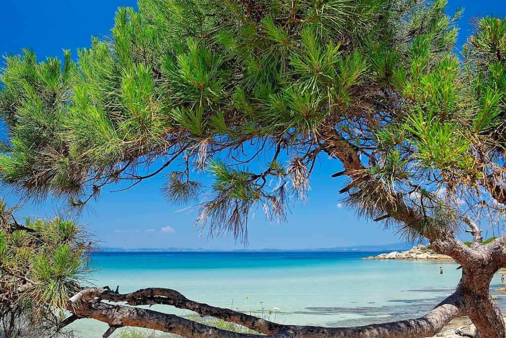 Xenia beach one of the most famous beaches in Kassandra, only 5 min away from the house.