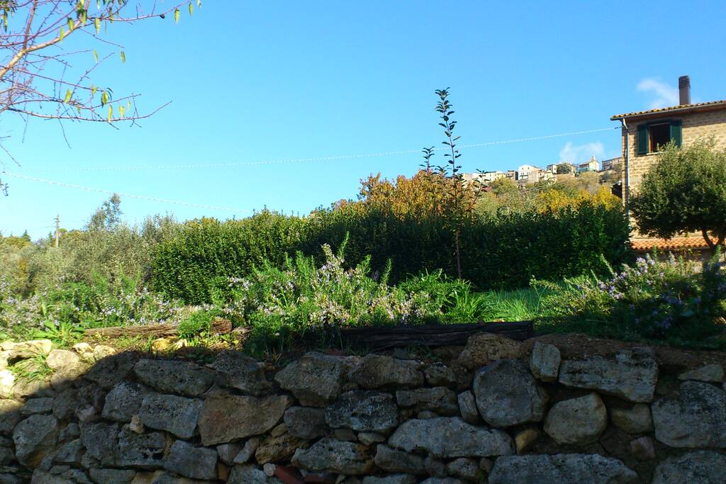 Vista della casa e giardino da sud,sullo sfondo Civitella del lago