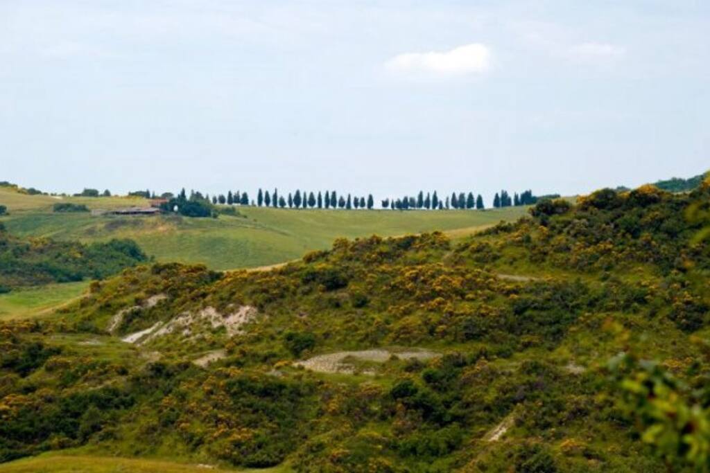 Palazzo Conti B - Panoramic view