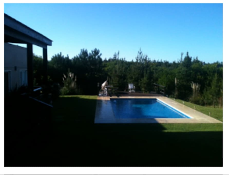 Pileta, solarium y parte del parque