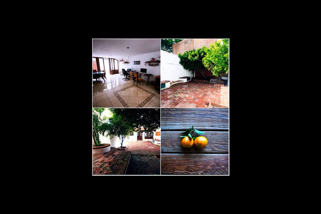 Nuestros espacios comunes son amplios y muy agradables para descansar, o trabajar, en caso de que tu viaje sea de negocios.
|
Our common areas are spacious and very nice to rest or work, if you are on a business trip.