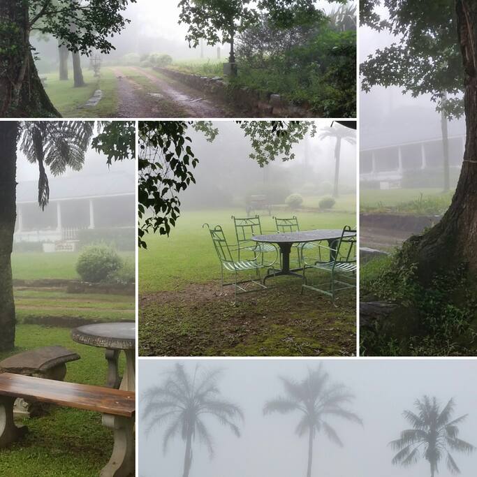 The views of our very misty Hilton, gumboots and rain coasts suggested.