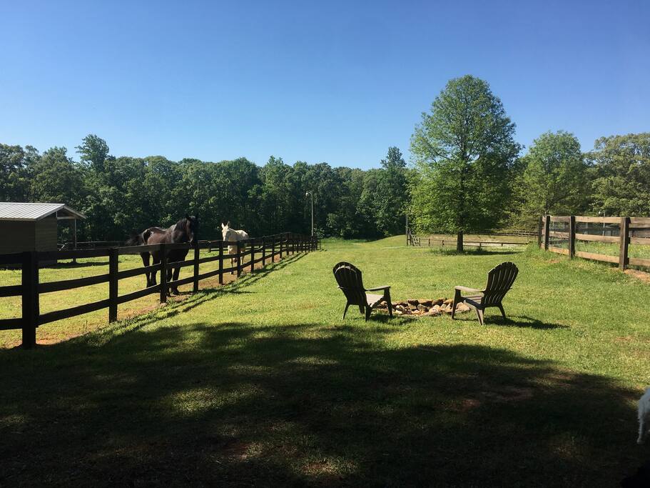 Spotted Fawn Farm/Vintage Don Draper Camper Tiny houses for Rent in
