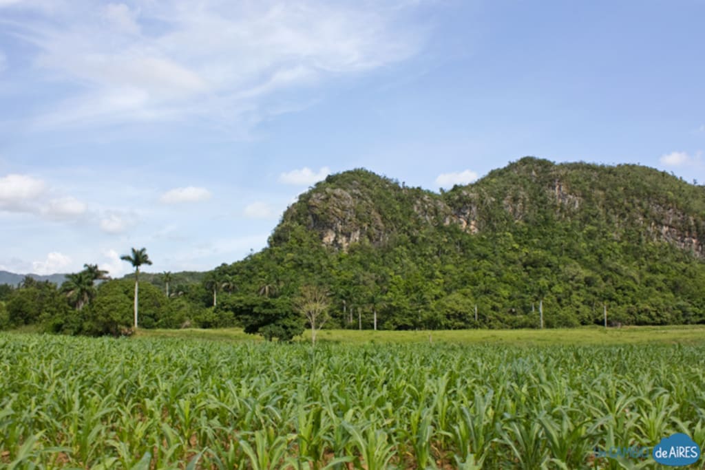 Valle de Viñales