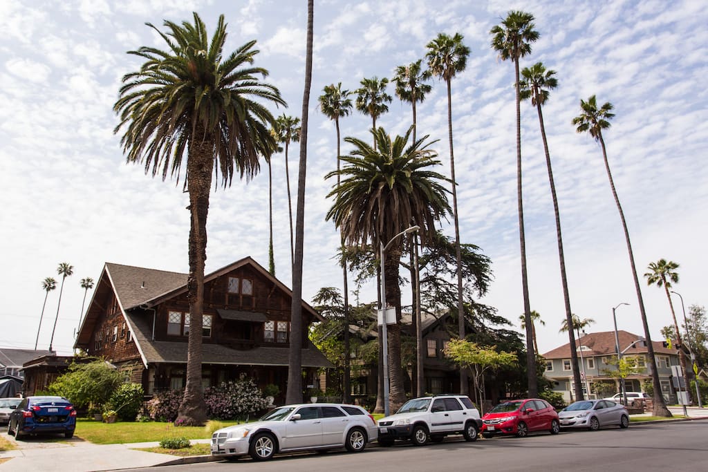 This is the street view of our home. Ample street parking on both sides of the street.