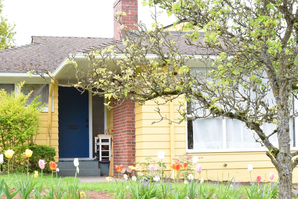 Front yard with flower and veggie garden