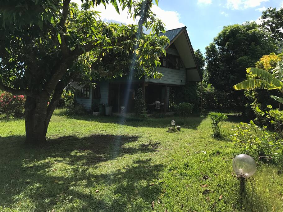 The House