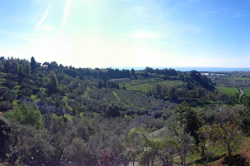 Vista dal balcone