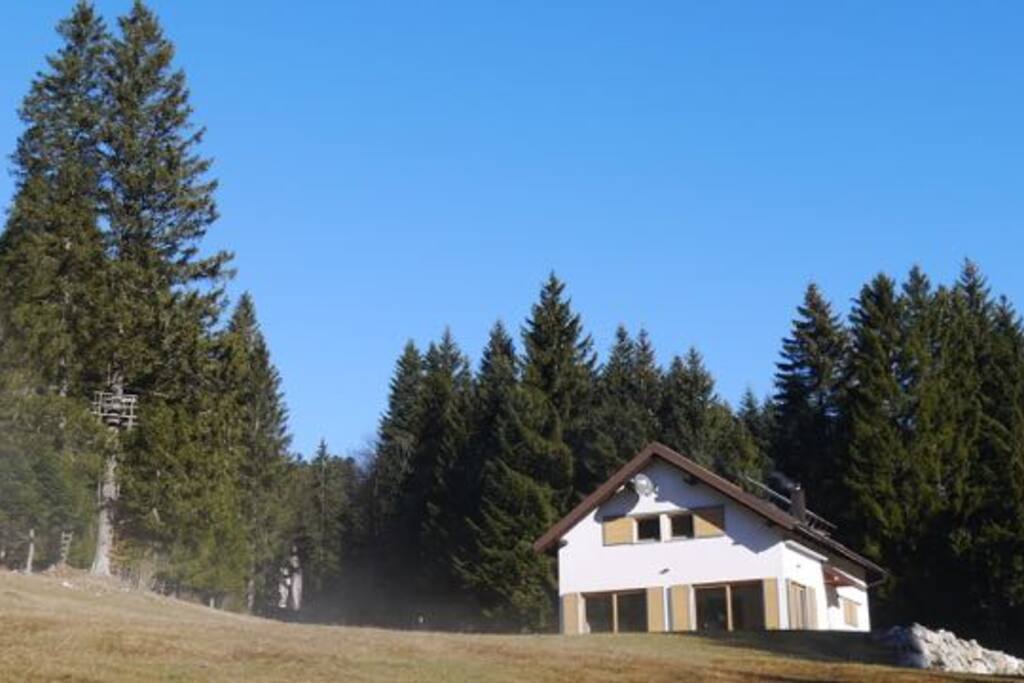 The house