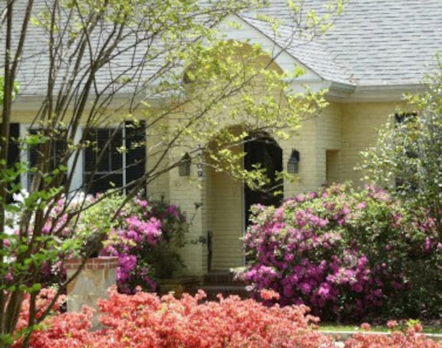 Toy Cottage, Azaleas in Bloom