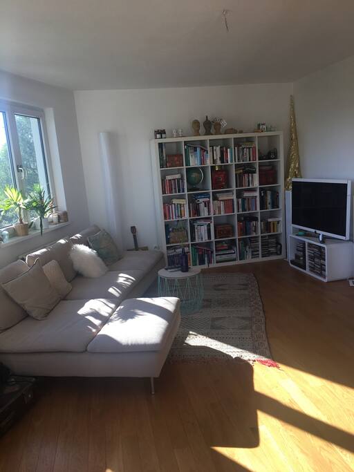 Sleeping Couch for 1 Person/ Living Room