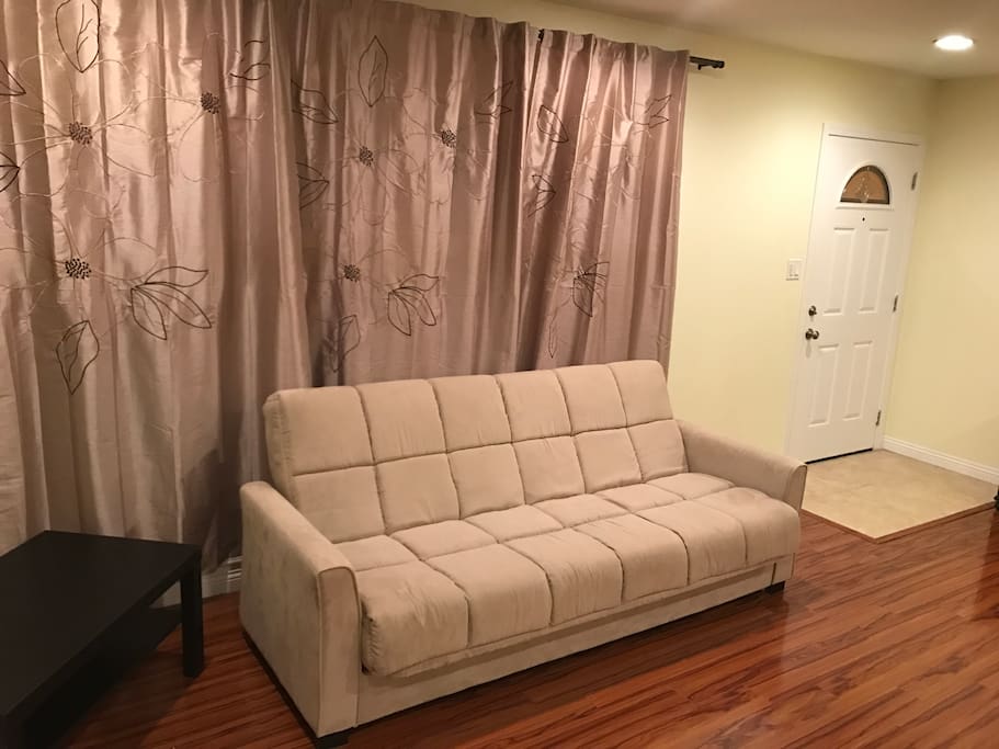Living Room with sofa bed