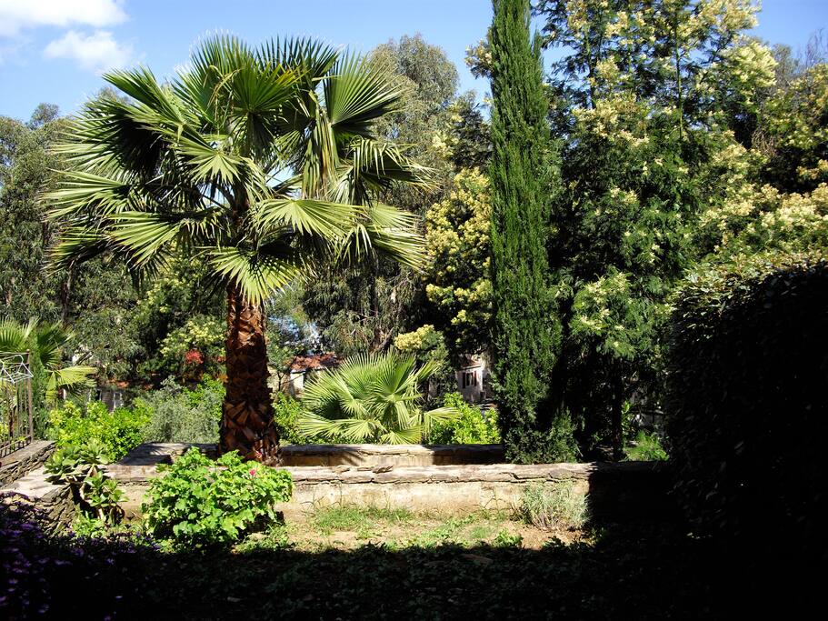 vue jardin