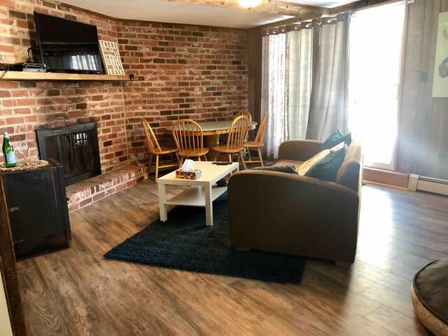 Charming cozy convenient dog friendly apartment