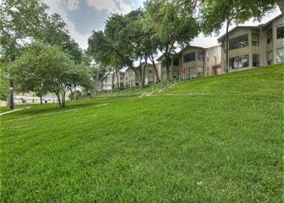 Comal River 349-Common Grounds