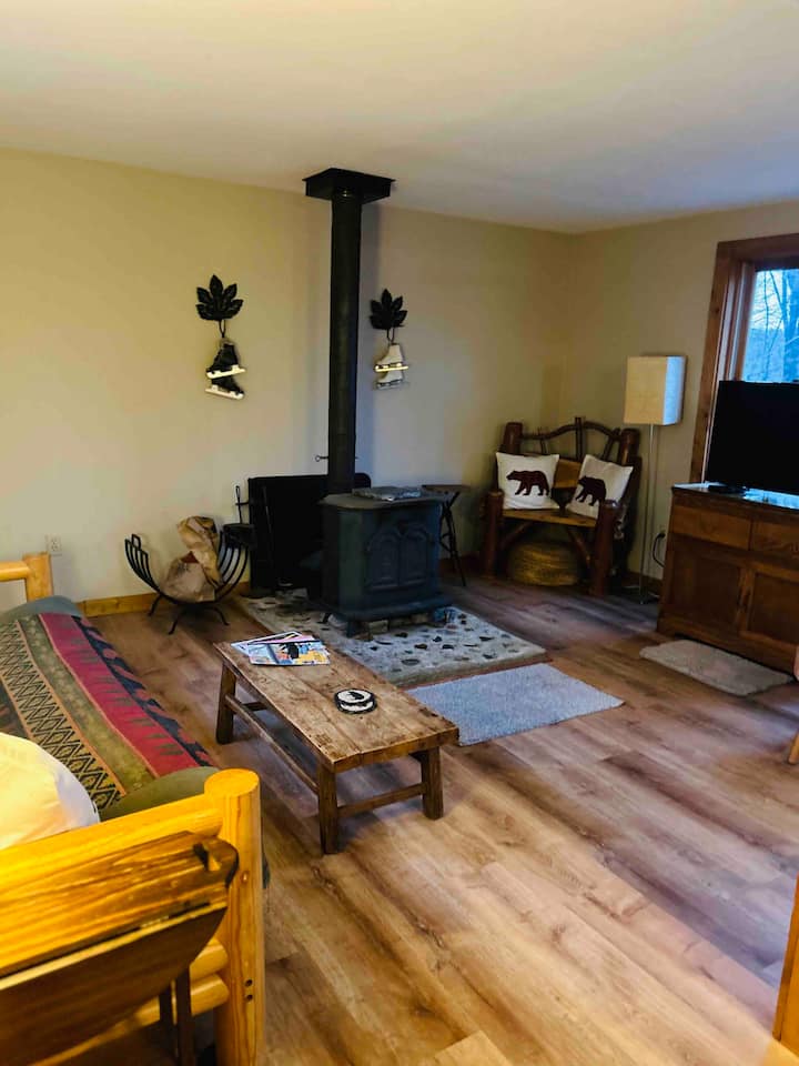 Elk Mountain Ski Area; Rustic Cabin On 15 Acres - Susquehanna County, PA