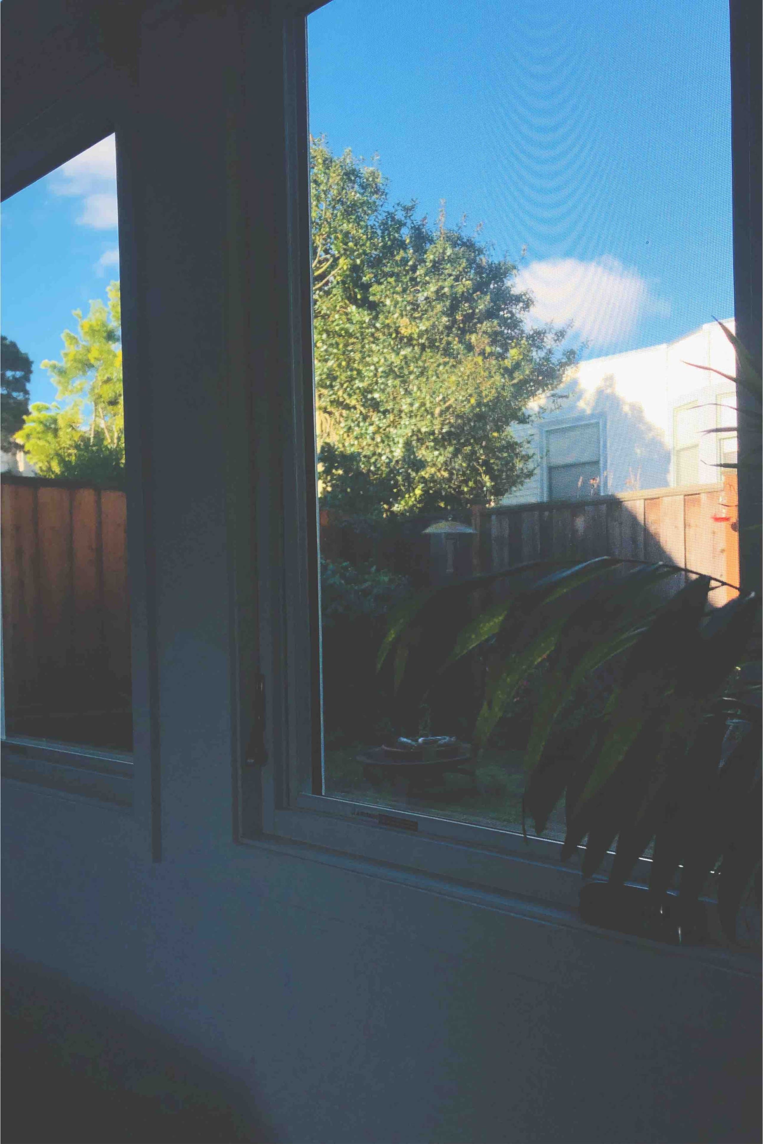 Guesthouse in San Francisco · ★4.98 · Studio · 1 bed · 1 bath - Image 13
