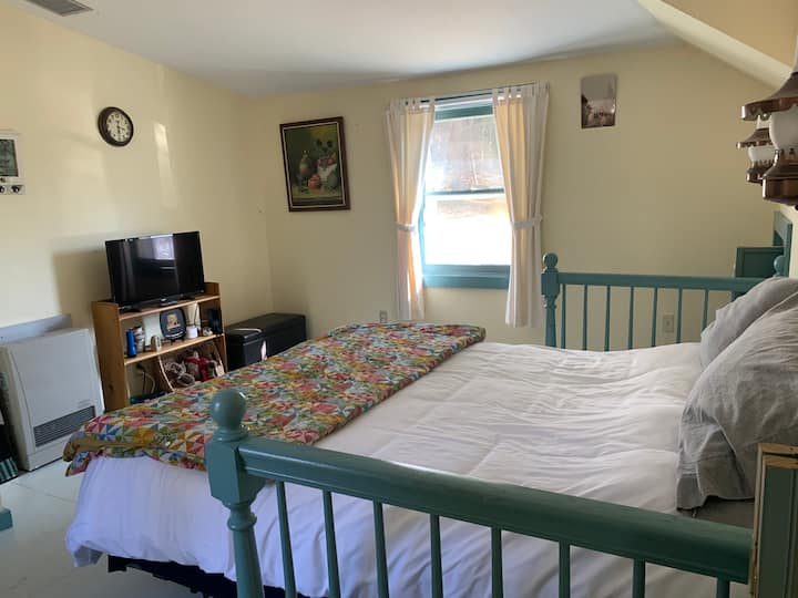 Sunny first floor bedroom with queen bed. Roku t.v. available to watch Netflix, Hulu, etc. on your account. Cable not provided. Light-blocking magnetic shades on both windows.
The house faces the main road so you will hear traffic noise. 