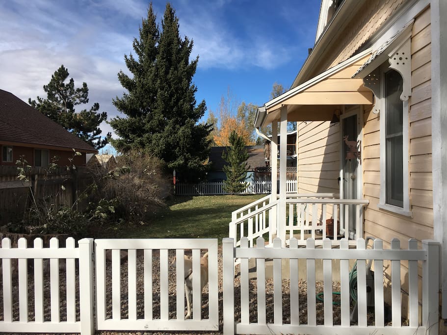 Large fenced yard in safe neighborhood. Suitable for dogs and kids.